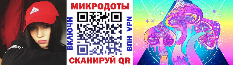 Купить  Судогда  Галлюциногенные грибы Magic Shrooms 